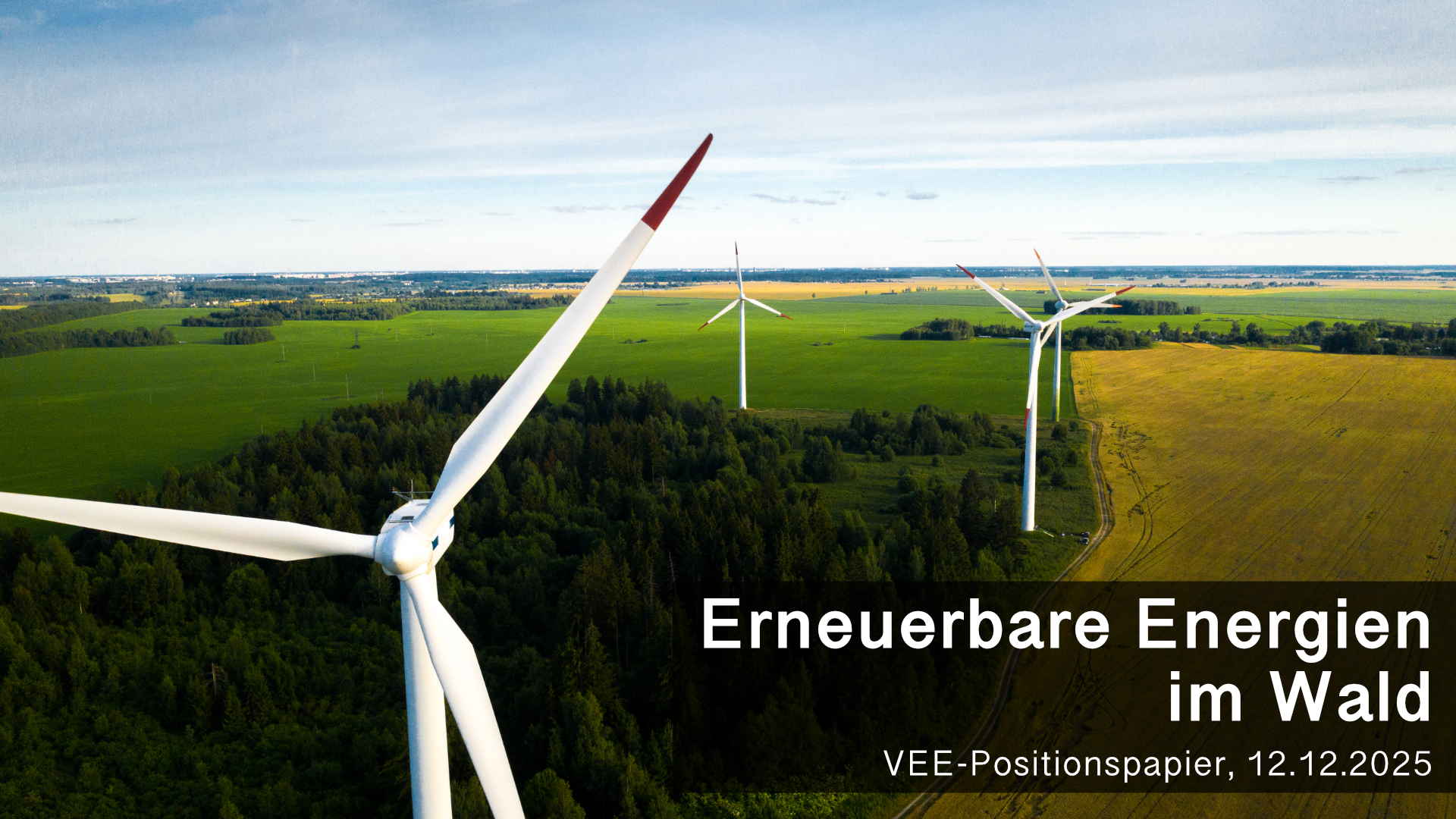 VEE-Positionspapier: Erneuerbare Energien und Waldnutzung in Sachsen