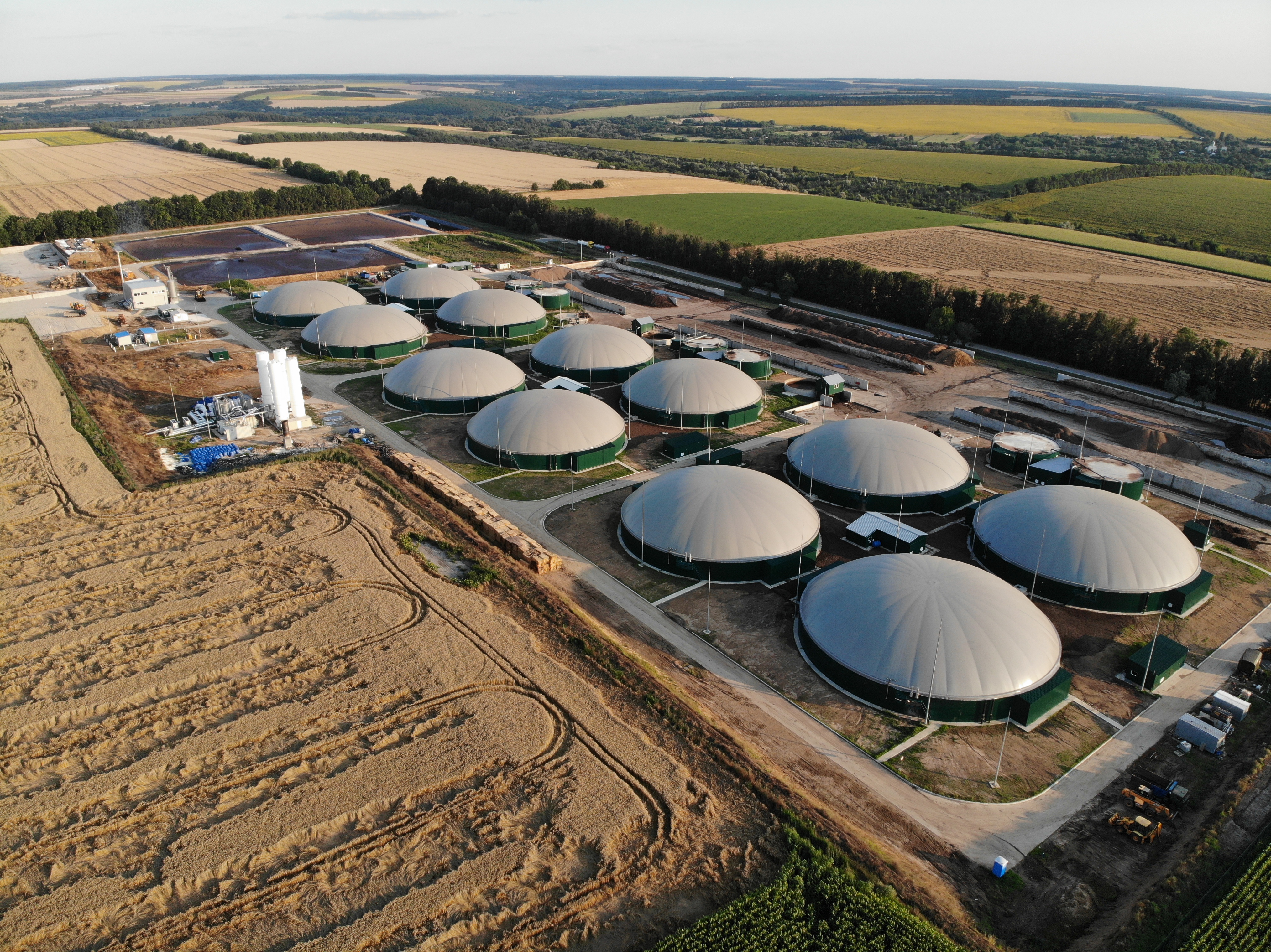 Biogas